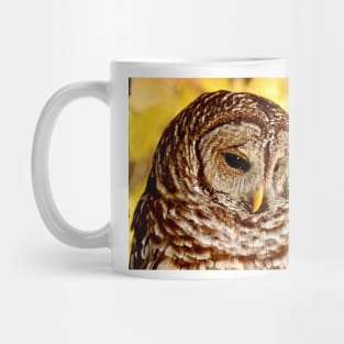 Barred Owl Mug